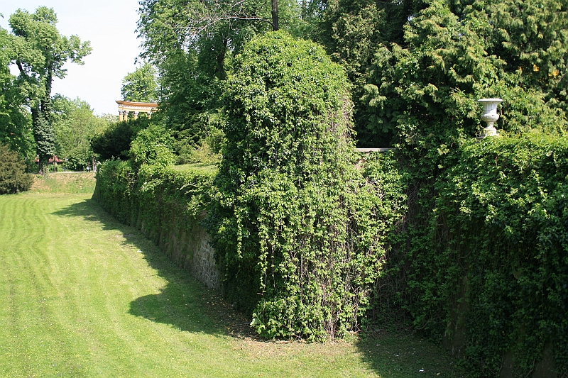 a 496